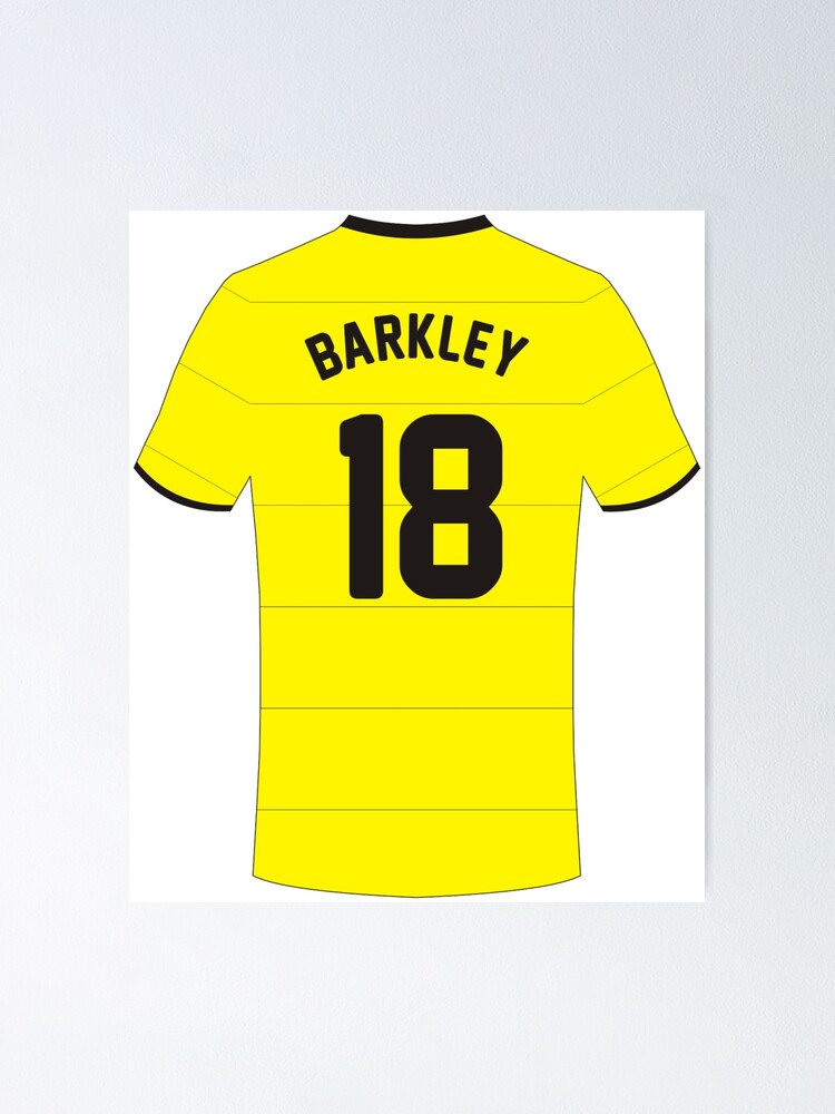 ross barkley jersey