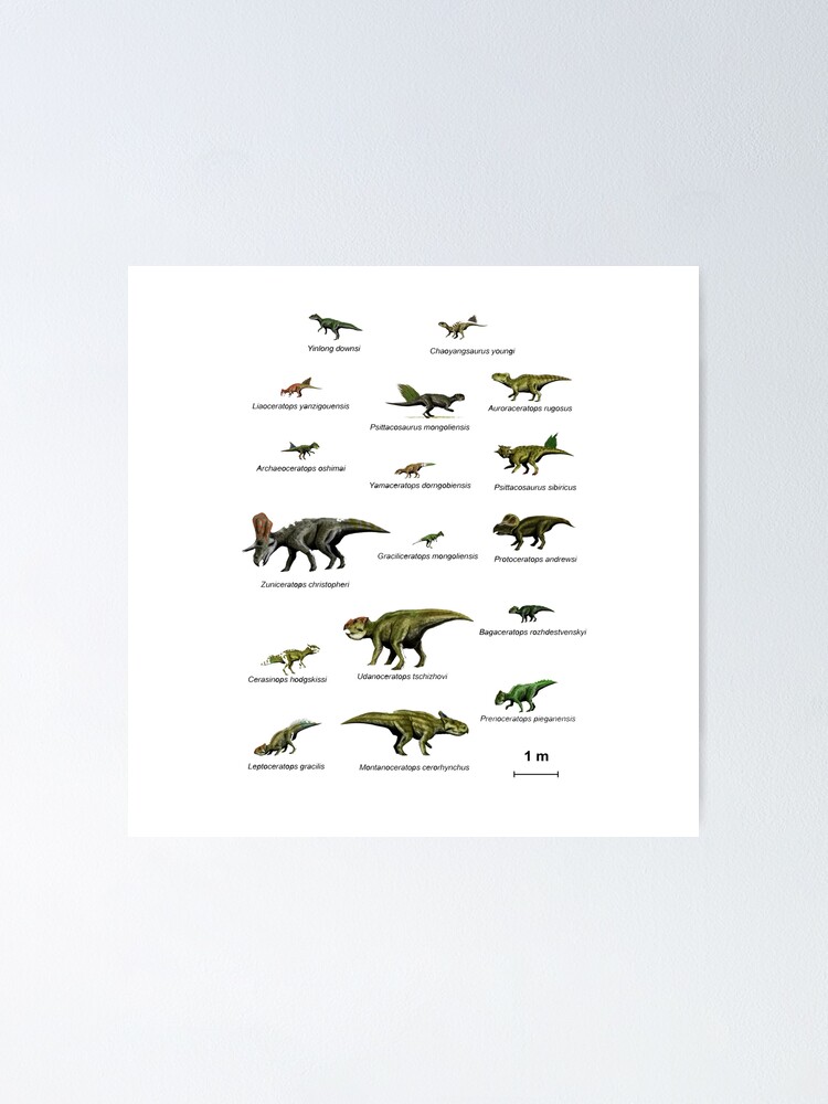 Dinosaurs Names Poster By Valentinahramov Redbubble