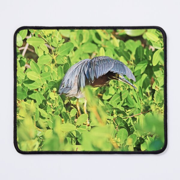 Item preview, Incognito designed and sold by Michiale.