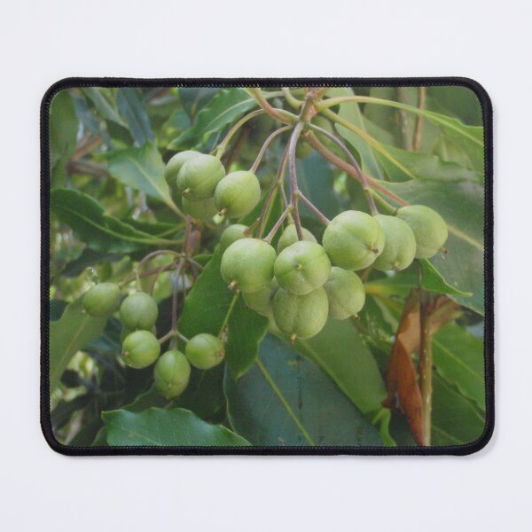 Item preview, Tree Fruit designed and sold by KazM.