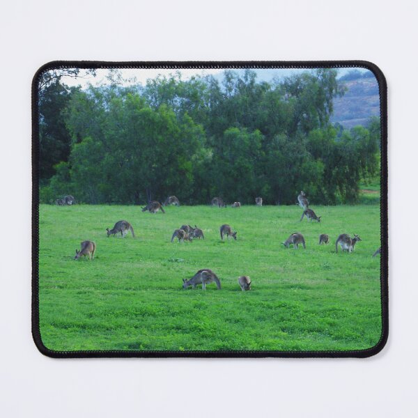 Item preview, Roos in the Top Paddock designed and sold by KazM.