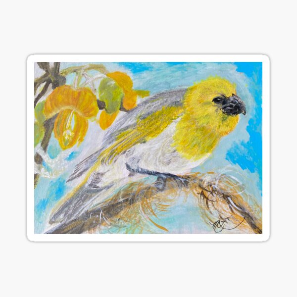 Palila in the Māmane Tree Sticker