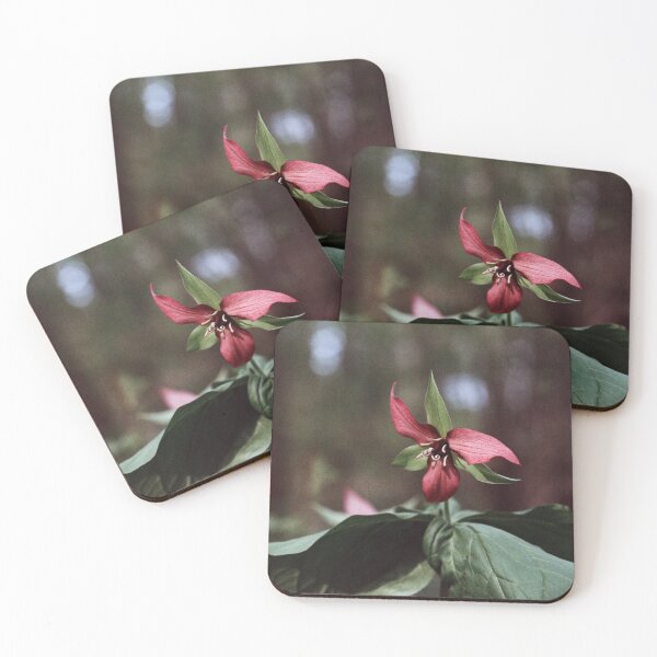 Item preview, Trillium 35mm Photograph designed and sold by ztrnorge.