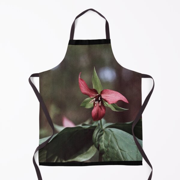 Item preview, Trillium 35mm Photograph designed and sold by ztrnorge.