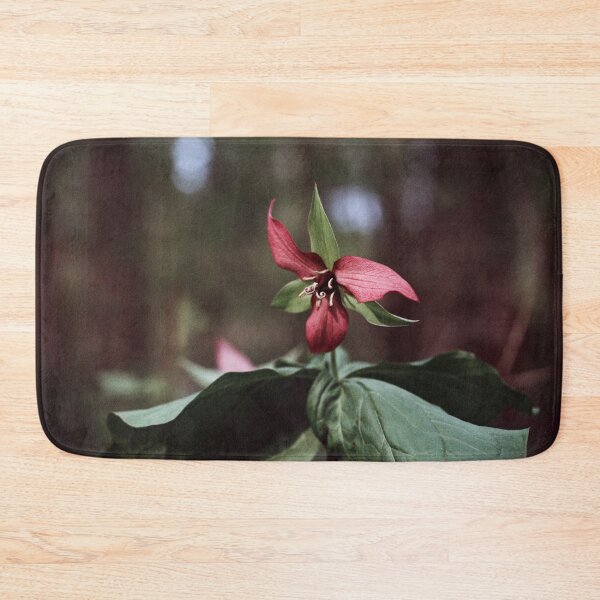 Item preview, Trillium 35mm Photograph designed and sold by ztrnorge.