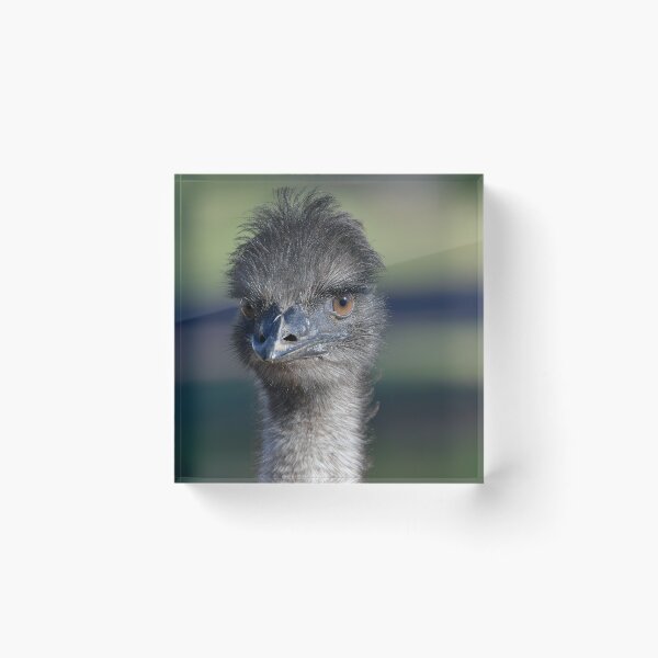 Item preview, Funky Emu 3 designed and sold by Seesee.