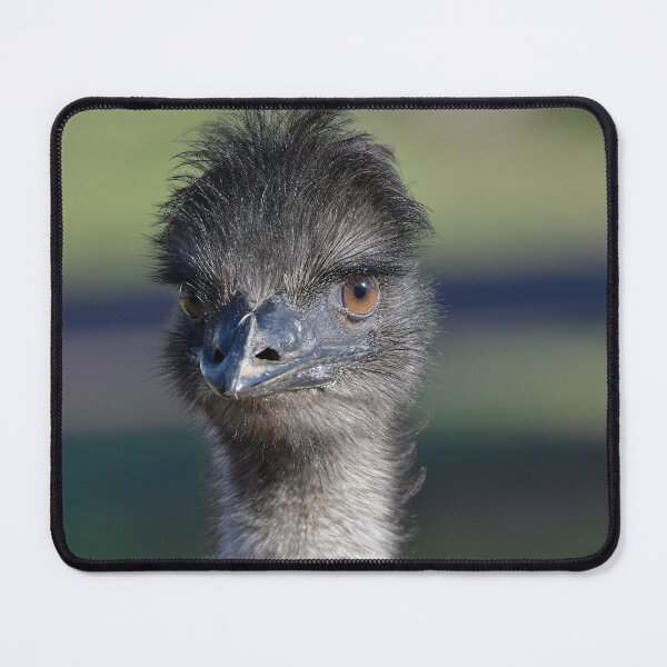 Item preview, Funky Emu 3 designed and sold by Seesee.