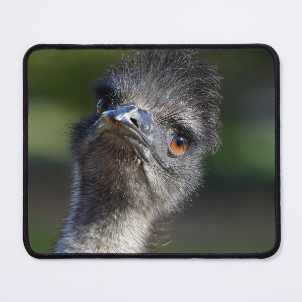 Item preview, Funky Emu 4 designed and sold by Seesee.