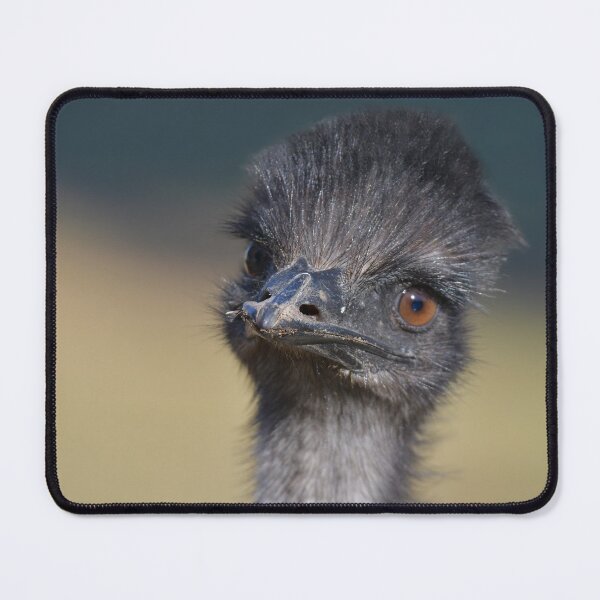 Item preview, Funky Emu 6 designed and sold by Seesee.