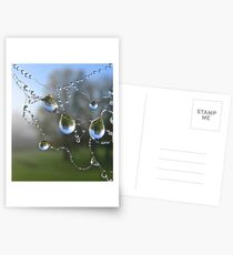 Pearls in autumn Postcards