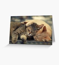 Real frienship :) Greeting Card