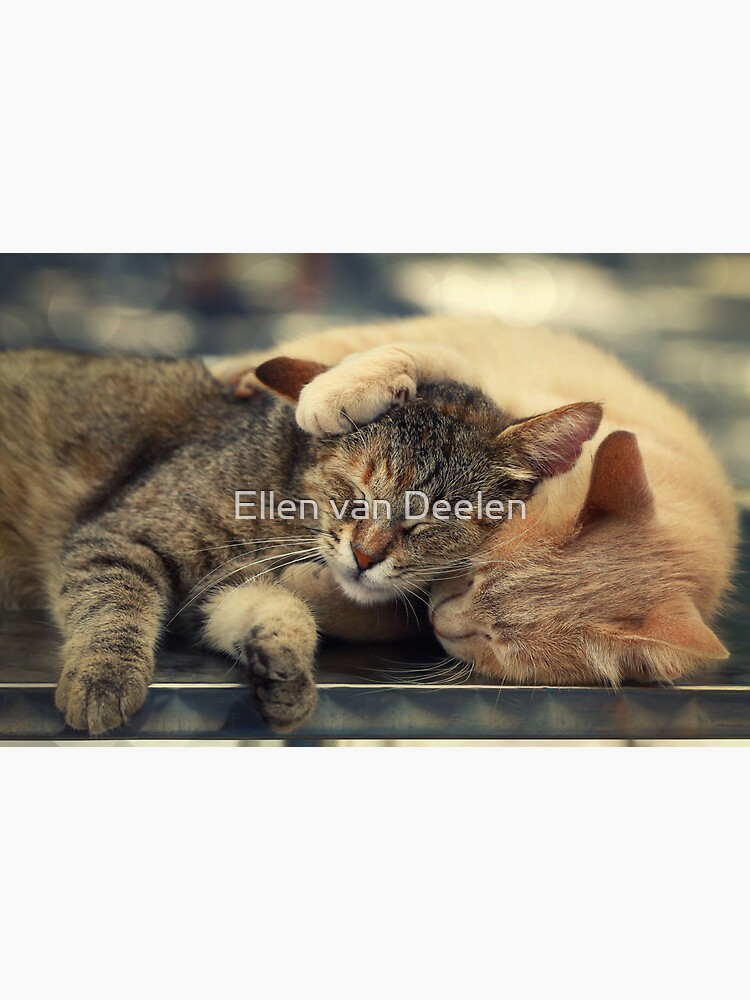 Real frienship :) by Ellen