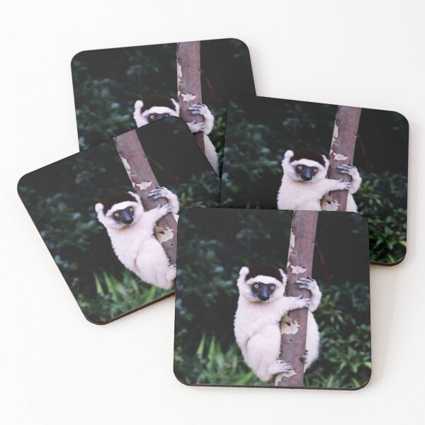 Item preview, Cute Sifaka Lemur monkey clinging to a tree designed and sold by worldways.