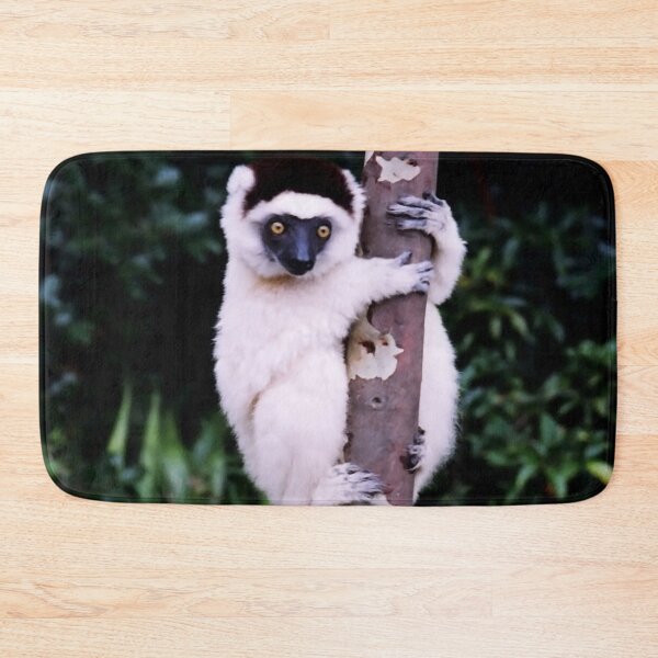 Item preview, Cute Sifaka Lemur monkey clinging to a tree designed and sold by worldways.