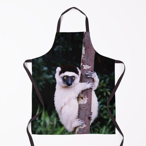 Item preview, Cute Sifaka Lemur monkey clinging to a tree designed and sold by worldways.