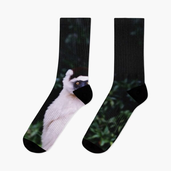 Item preview, Cute Sifaka Lemur monkey clinging to a tree designed and sold by worldways.