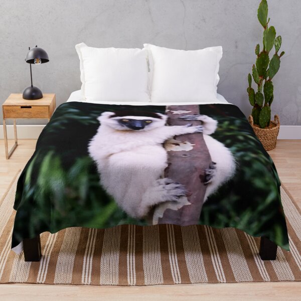 Item preview, Cute Sifaka Lemur monkey clinging to a tree designed and sold by worldways.