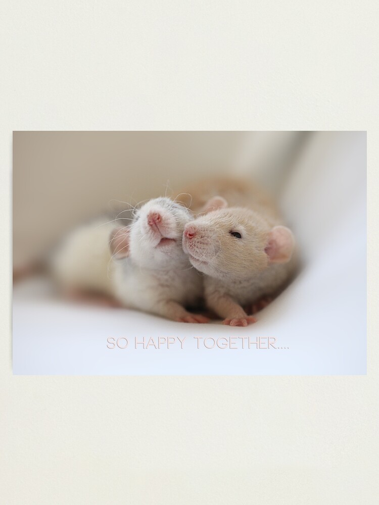 Alternate view of Friendship Photographic Print