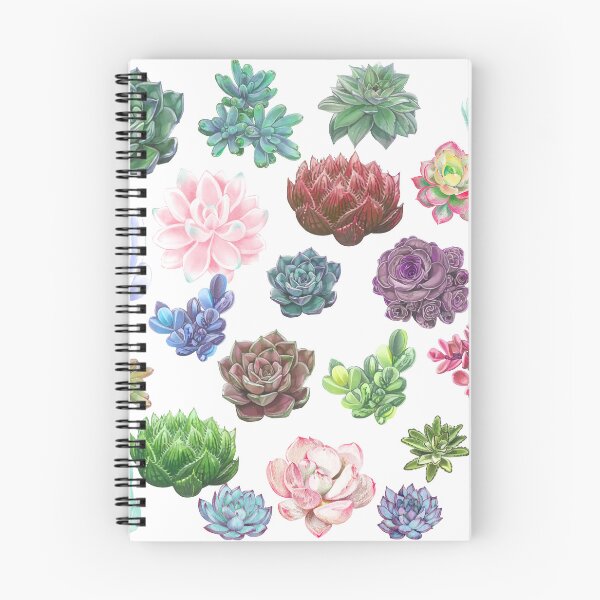 Item preview, Succulents designed and sold by Lauren Paige Compton.