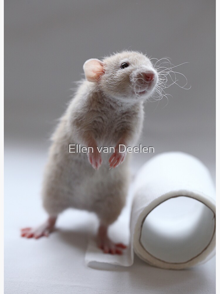 I really need to go..... by Ellen