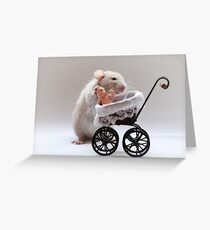 The new baby Greeting Card
