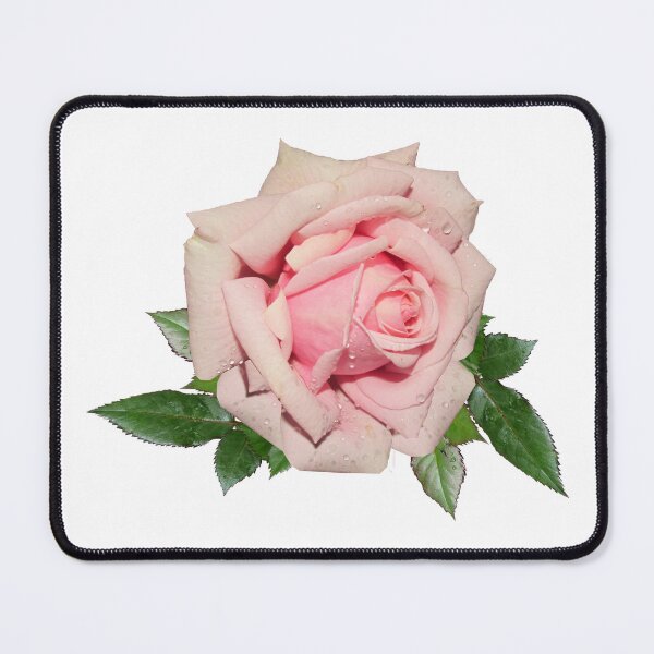 Item preview, Pink Rose with Raindrops designed and sold by silviaol.