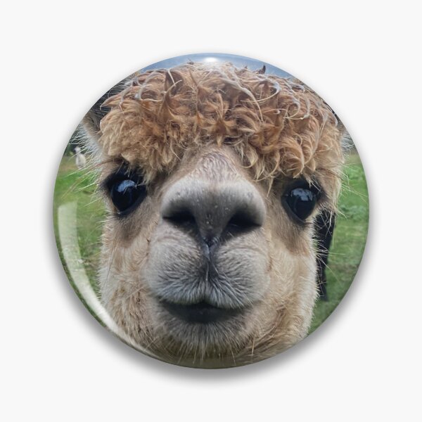 Item preview, Alpaca designed and sold by Roz McQuillan Fine Art & Photography.