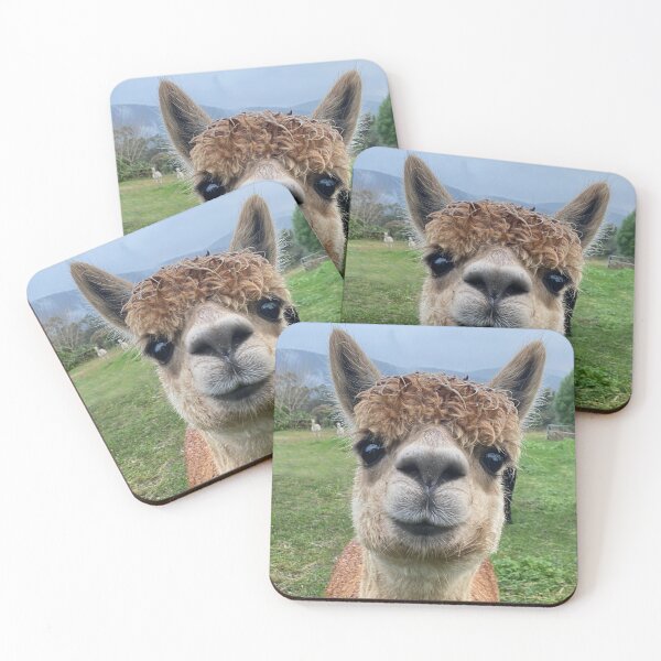 Item preview, Alpaca designed and sold by Roz McQuillan Fine Art & Photography.