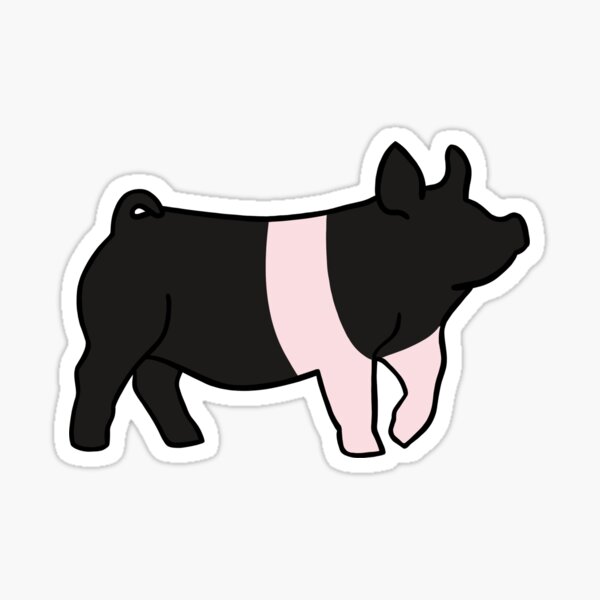 Hampshire Show Pig Sticker For Sale By Taylorj1215 Redbubble