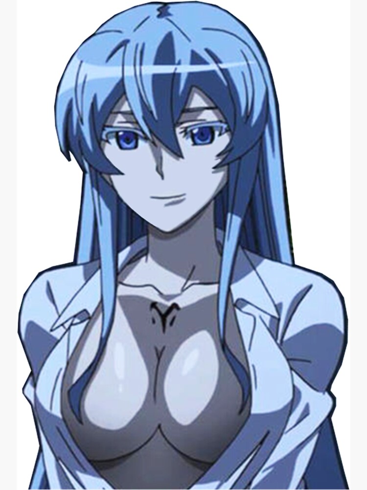 Esdeath Akame Ga Kill