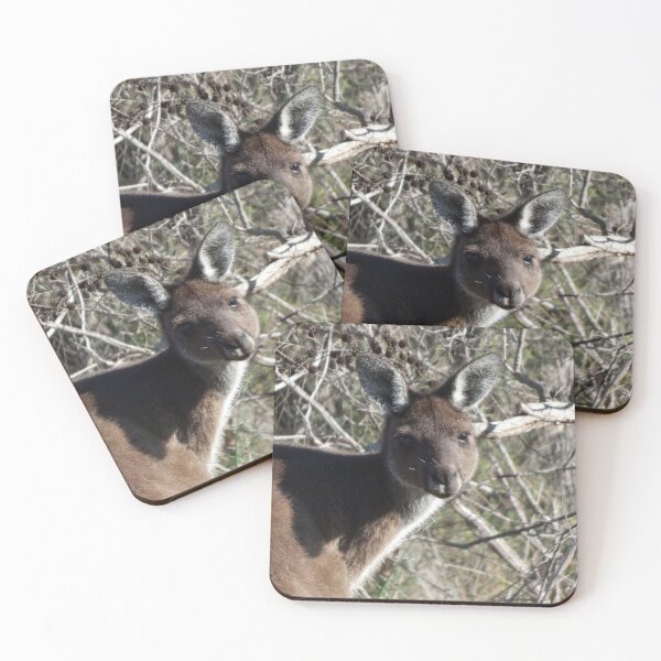 Item preview, Kangaroo 5 designed and sold by Harrison Lucas.