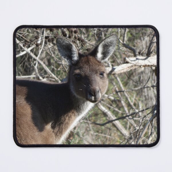 Item preview, Kangaroo 5 designed and sold by Harrison Lucas.