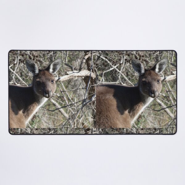 Item preview, Kangaroo 5 designed and sold by Harrison Lucas.