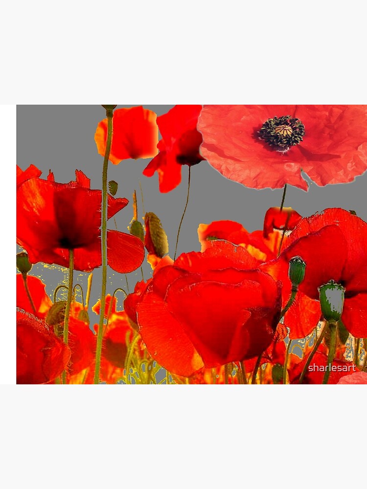 RED-ORANGE GARDEN POPPY FLOWERS PATTERN ART by sharlesart