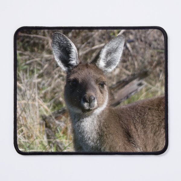 Item preview, Kangaroo 6 designed and sold by Harrison Lucas.