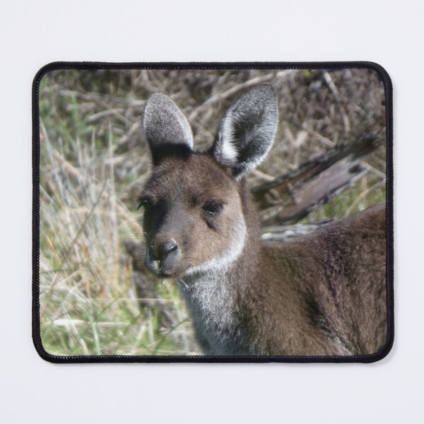 Item preview, Kangaroo 7 designed and sold by Harrison Lucas.
