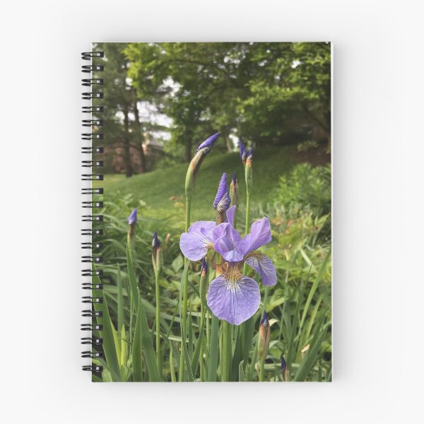 Item preview, Siberian Iris - Iris sibirica designed and sold by studio20seven.
