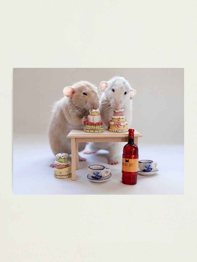 Alternate view of Happy Birthday! Photographic Print
