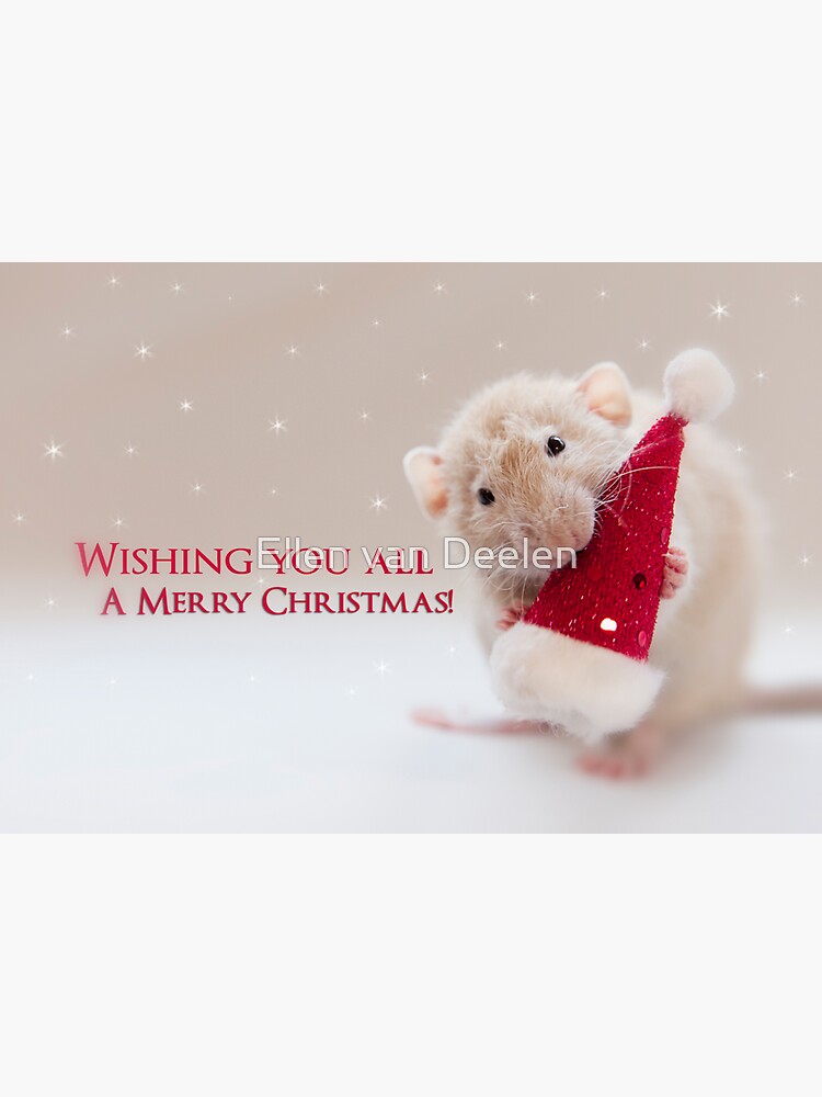Merry Christmas to you all! by Ellen
