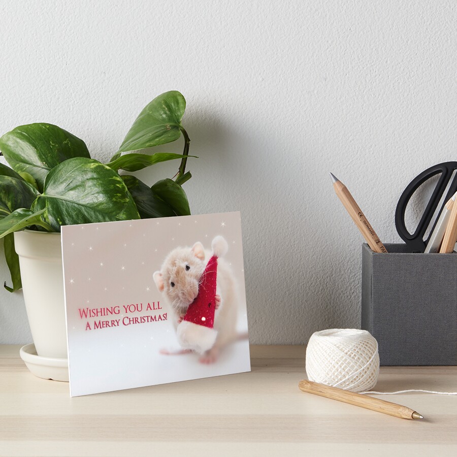 Merry Christmas to you all! Art Board Print