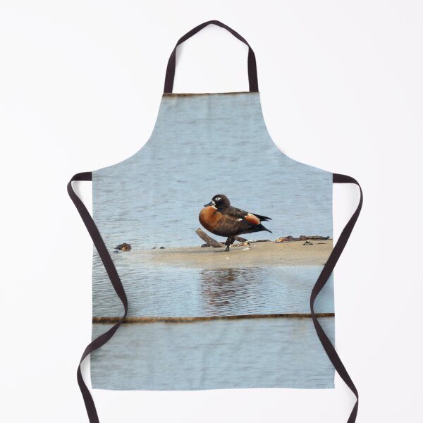Item preview, Australian Shelduck designed and sold by Harrison Lucas.