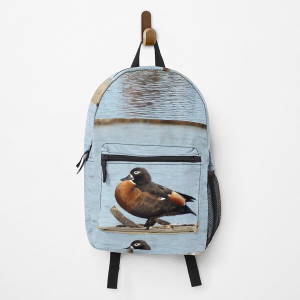 Item preview, Australian Shelduck designed and sold by Harrison Lucas.