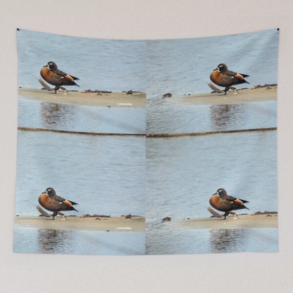 Item preview, Australian Shelduck designed and sold by Harrison Lucas.