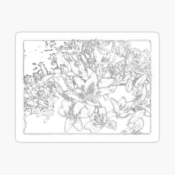 Large Bunch of Flowers - pencil sketch Sticker
