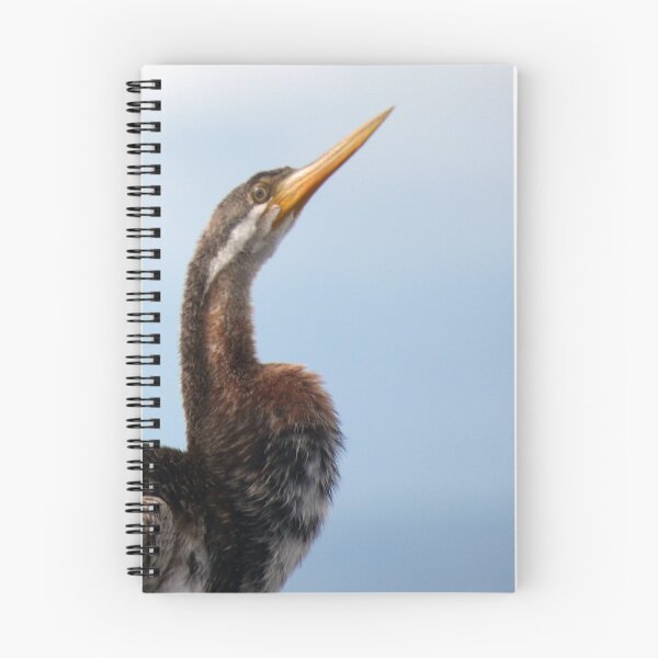 Item preview, Australasian Darter 2 designed and sold by Harrison Lucas.