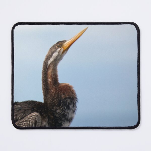 Item preview, Australasian Darter 2 designed and sold by Harrison Lucas.