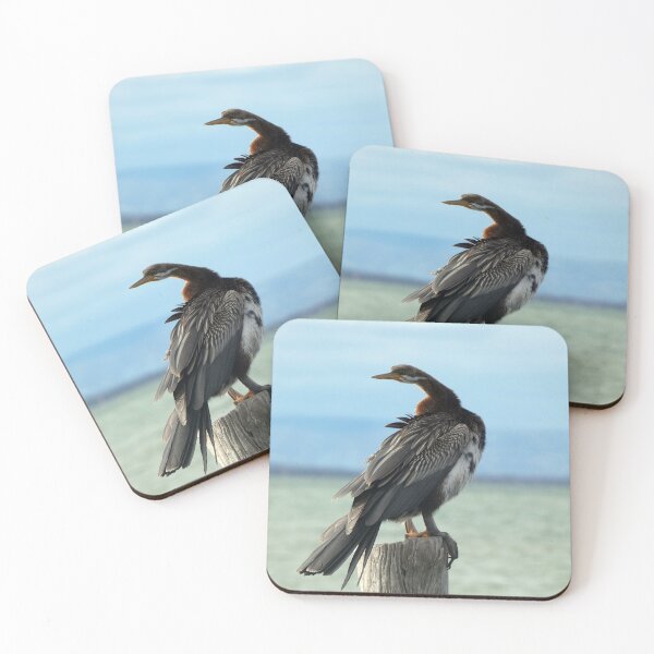 Item preview, Australasian Darter  3 designed and sold by Harrison Lucas.