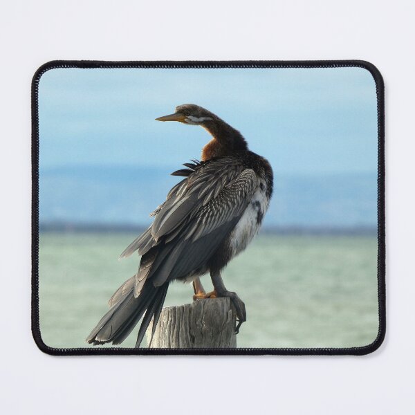 Item preview, Australasian Darter 3 designed and sold by Harrison Lucas.