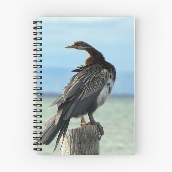 Item preview, Australasian Darter  3 designed and sold by Harrison Lucas.