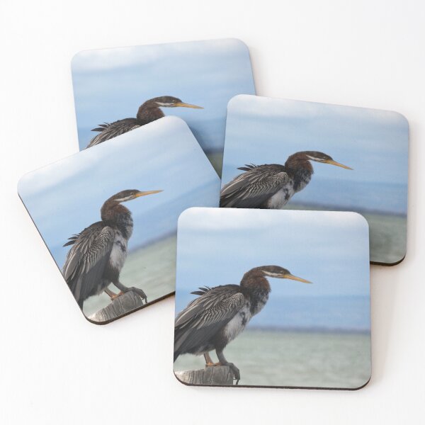 Item preview, Australasian Darter 4 designed and sold by Harrison Lucas.